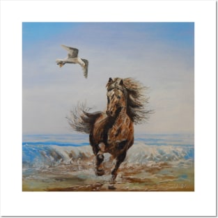 Horse Seagull Beach Freedom Posters and Art